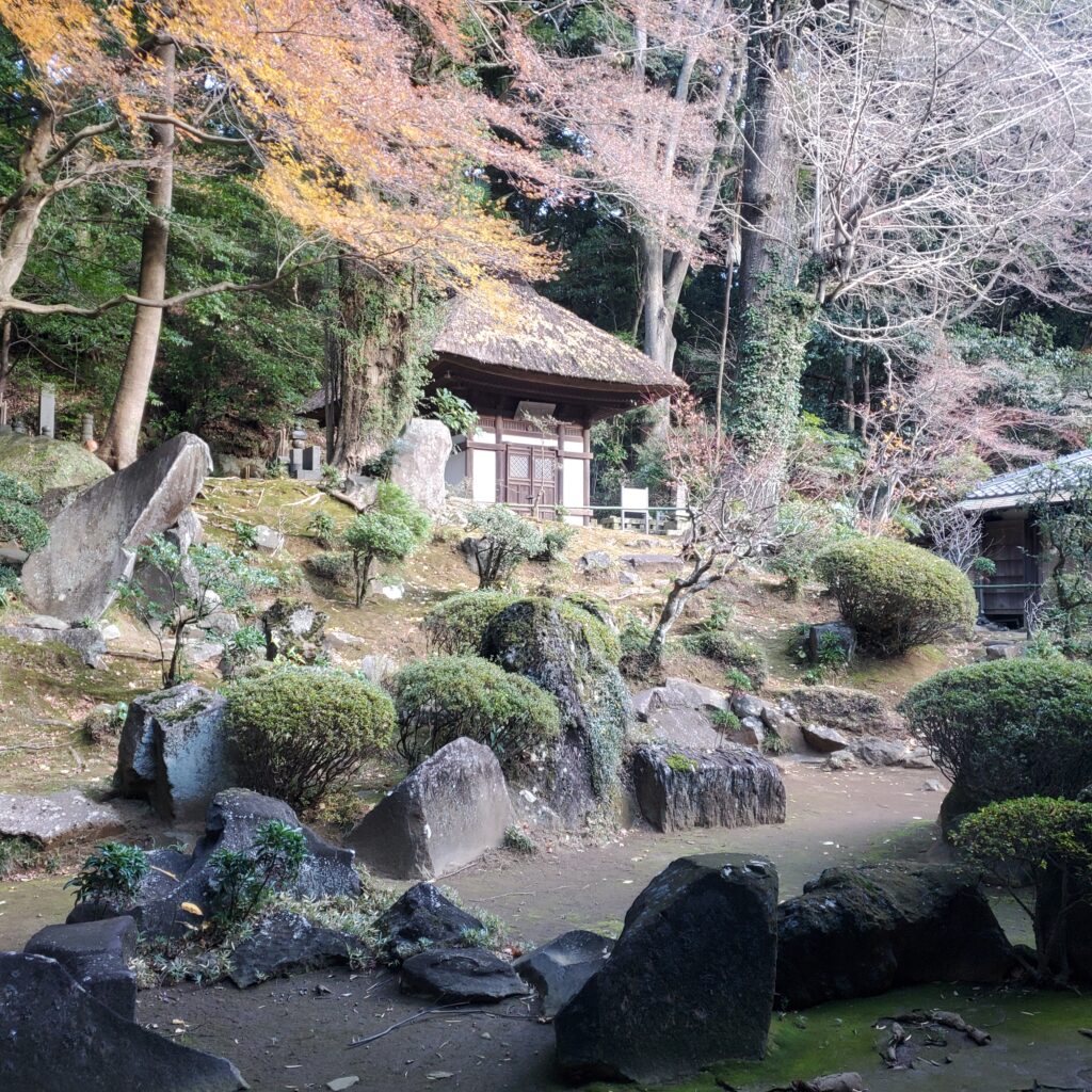 早雲寺　枯山水